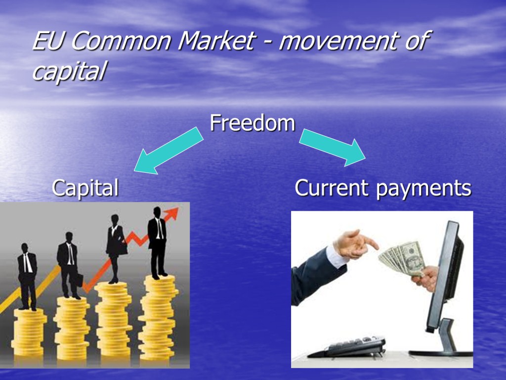 EU Common Market - movement of capital Freedom Capital Current payments